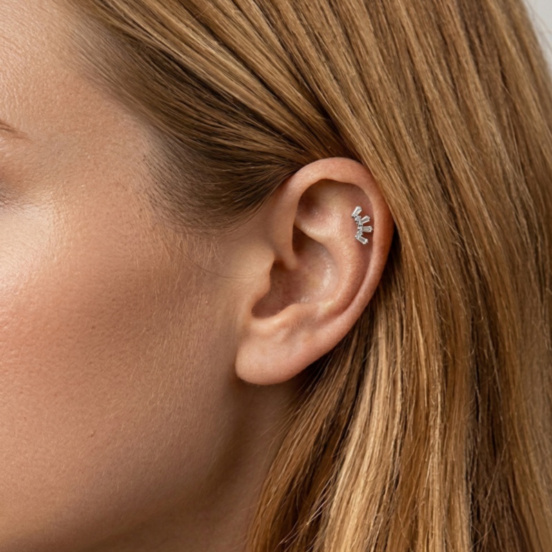 1 Stück ASTM Titan Helix Pierc – Conch Earring Hoop Bewertung und Preis