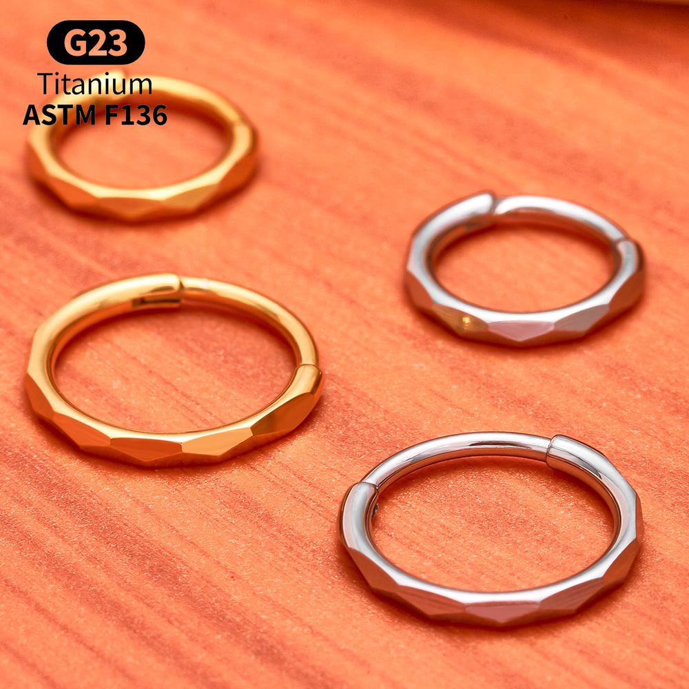 G23 Titan Facettierter CZ Segm – Conch Earring Hoop Bewertung und Preis