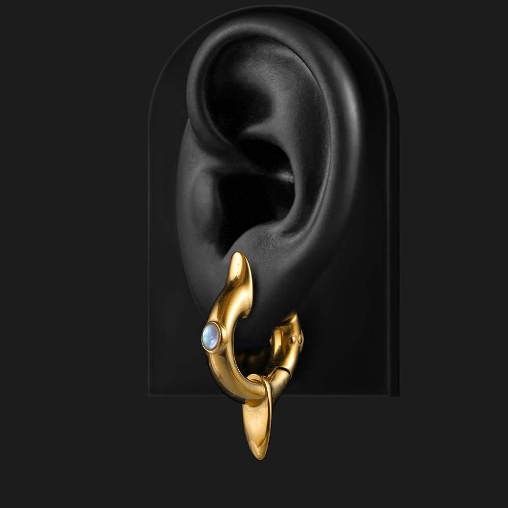 Earblity 2 Stück Ohrgewichte,  – Body Jewelry Hangers Bewertung und Preis