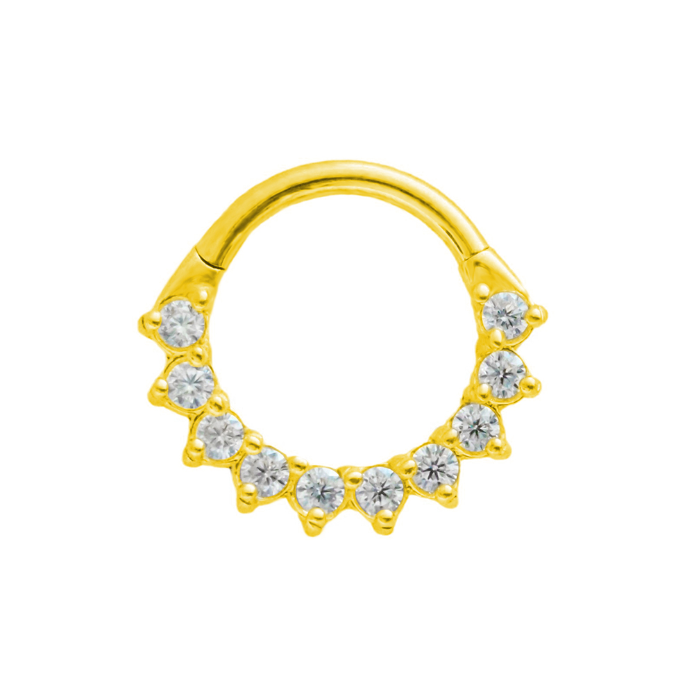 Trapez CZ Septum 100 % 316L Ch – Conch Earring Hoop Bewertung und Preis