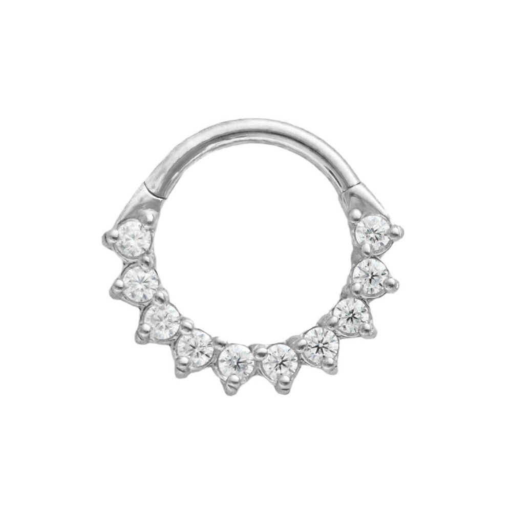 Trapez CZ Septum 100 % 316L Ch – Conch Earring Hoop Bewertung und Preis